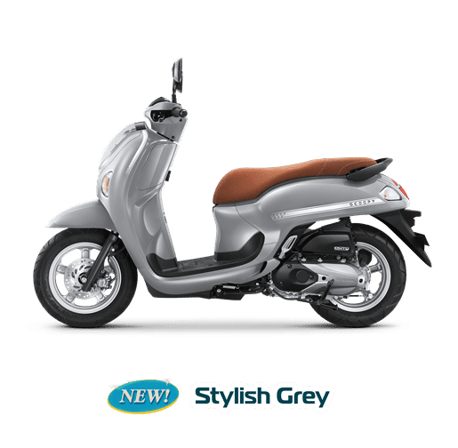 Honda Scoopy Stylish Grey